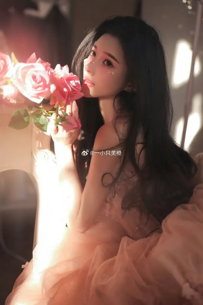 小布丁下载界面示意图